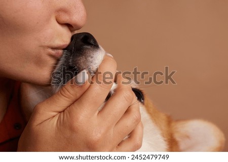Girl kisses the nose of a Welsh Corgi dog close-up, love of animals concept