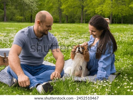 Happy pregnant couple spends time together on a picnic outdoors with a pet, dog, cocker spaniel. Waiting for a baby, love. Royalty-Free Stock Photo #2452510467