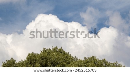 Symmetry in nature - layers of sky, clouds and trees image in horizontal format for background use