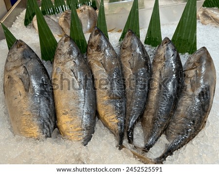 A display of fresh fish laid on ice in a seafood market, with green leaves for decoration