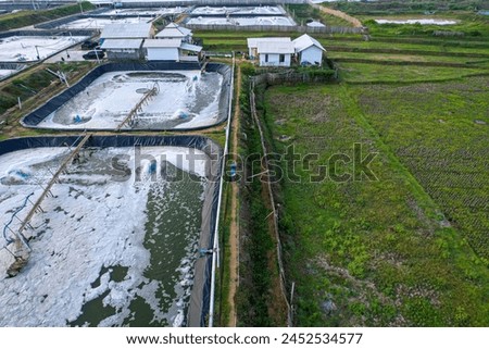 Aerial photography of coastal shrimp farms