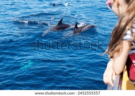 A view from the sailing boat. Free dolphins swimming in the open ocean  Royalty-Free Stock Photo #2452555557