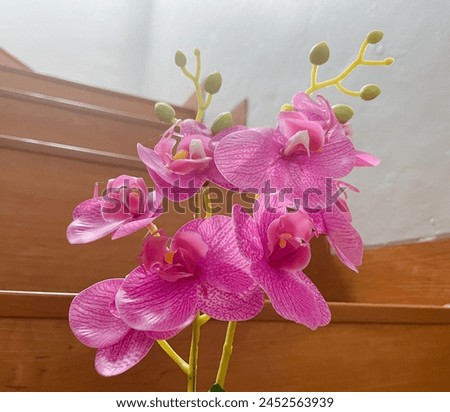 A beautiful purple orchid decoration is on the stairs as a photo spot