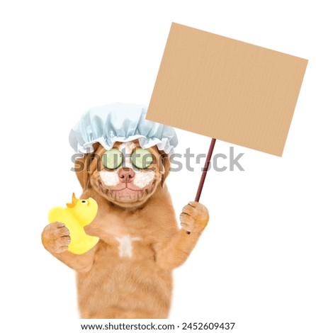 Smiling Mastiff puppy with shower cap on it head, with cream on it face shows empty placard and holds rubber duck. isolated on white background