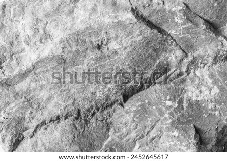close-up stone texture background,black and white photo
