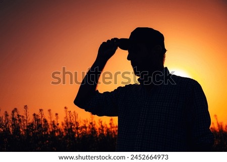 Back lit silhouette of male farmer with trucker's hat standing in blooming canola rapeseed field in sunset, selective focus Royalty-Free Stock Photo #2452664973