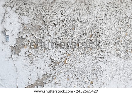 Peeling white paint. Close-up. Badly fixed building facade wall covered with cracks in stucco and paint. Missing patches of paint; crack with flappy peeling edges, visible brown coat. Royalty-Free Stock Photo #2452665429