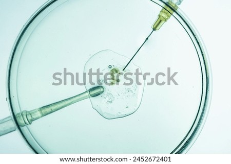 In vitro fertilization process, scientific conception moment Royalty-Free Stock Photo #2452672401