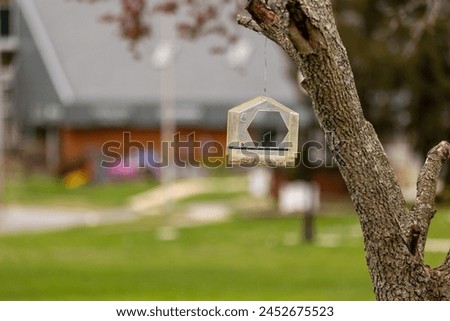 Transparent birdhouse on a tree branch in a garden setting