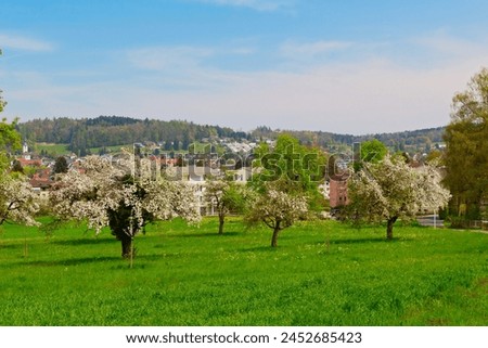 Reinach Village at spring, Switzerland