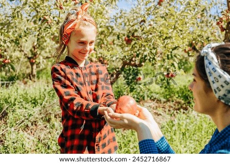 A family working together to harvest ripe apples in their family orchard Royalty-Free Stock Photo #2452716867