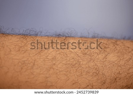 a man's leg hair, photo with a white background.