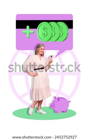 Vertical photo collage of happy aged woman hold iphone piggy bank plus coin savings deposit emblem globe net isolated on painted background