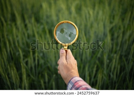 Researchers carry magnifying glasses over barley plants to look for errors in the plants so they can develop new varieties of barley plants. Ideas for using a magnifying glass to help with searching