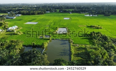 Aerial drone bird eye view of Narayanganj, Dhaka, Bangladesh. beautiful Bangladesh. Beautiful aerial view landscape with green nature, village view. drone landscape photography.