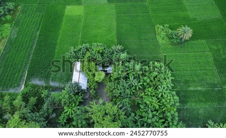Aerial drone bird eye view of Gazipur, Dhaka, Bangladesh. beautiful Bangladesh. Beautiful aerial view landscape with village house, green nature, village view. drone landscape photography.