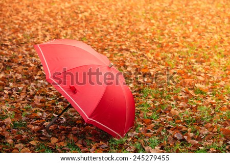Autumn concept. Healthy active lifestyle. Red umbrella on autumn leaves background. Foggy misty day