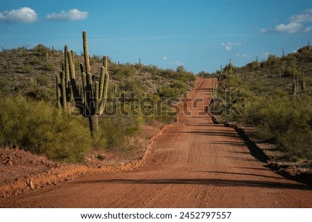 Alamo Road, Mohave County Arizona - Red Dirt Road Through Green Mojave Sonoran Desert Landscape, Saguaro Cacti Royalty-Free Stock Photo #2452797557