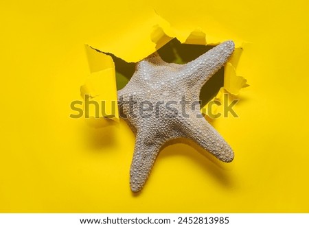 A dry starfish peeks out from a torn hole in yellow paper. Summer vacation and beach season concept.