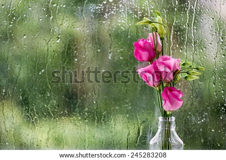 Eustoma flowers against window pane in rainy day.