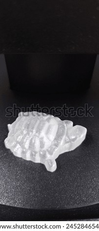 Small turtle with selenite material Royalty-Free Stock Photo #2452846547