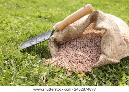 Granulated fertilizer in sack and shovel on green grass outdoors, closeup Royalty-Free Stock Photo #2452874899