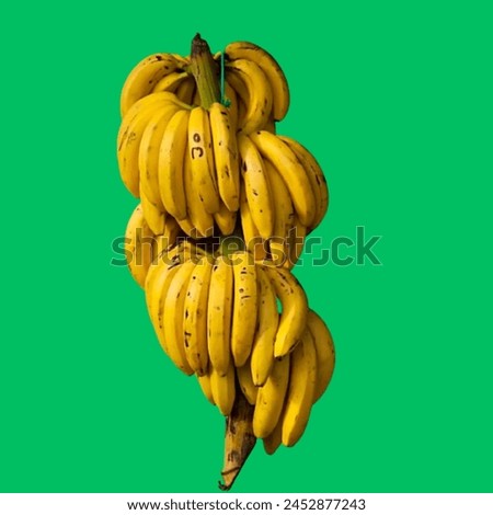 This very very beautiful and hardworking in the making picture of banana.