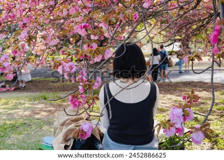 a girl with pink Sakura it's really good spot for take a pictures if you like spend the time in the park on your holidays I will recommend you go to Shinjuku park on middle of April so nice place