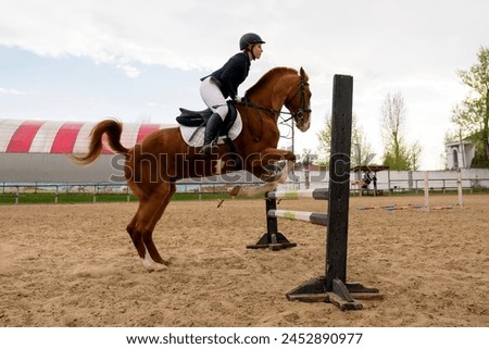 Equestrian and horse mid-jump, show jumping action. Practice session. Female jockey in uniform. Equestrian sport. Horseback riding school Royalty-Free Stock Photo #2452890977