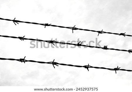 Three strands of barbed wire on the impassable border of the protected area in black and white tones Royalty-Free Stock Photo #2452937575