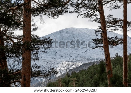 Snowy mountain seen through trees in natural landscape
