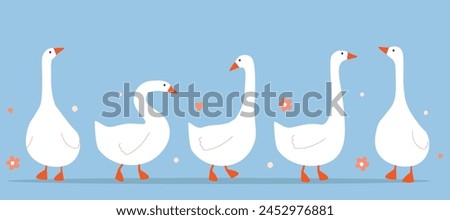 Set of waterfowl. Abstract white geese, cute poultry. Vector graphics