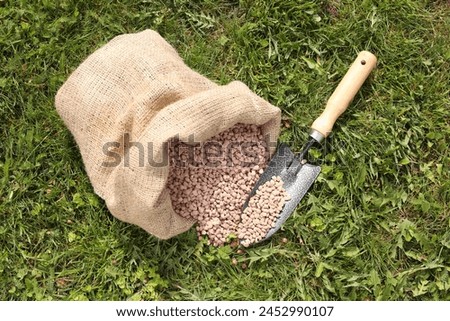 Granulated fertilizer in sack and shovel on green grass outdoors, top view Royalty-Free Stock Photo #2452990107