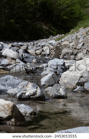 View of a calm and small creek with many stones. Picture features rocks, river water and trees in the distance