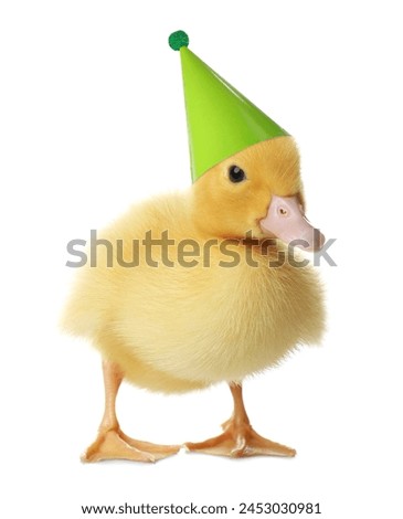 Cute gosling with party hat on white background