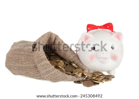 White a pig-coin box and the big bag with gold coins