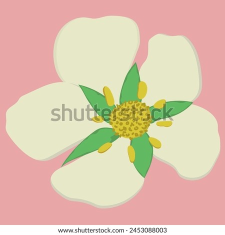 Strawberry flower, isolated on pink backdrop (background). Nature. Vector illustration.