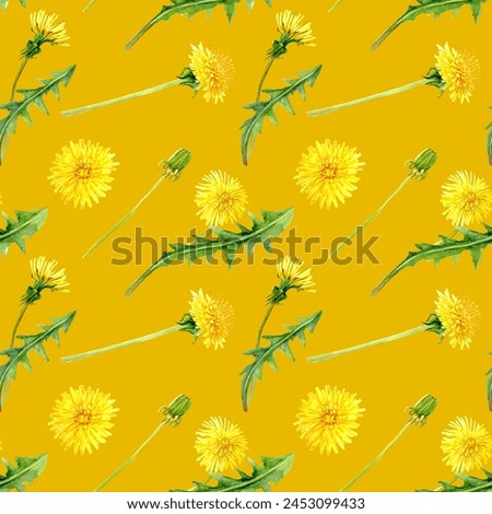 Watercolor illustration of Yellow Dandelions with Leaves in the Composition for greeting Cards of Invitations
