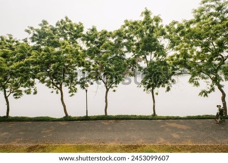 Yen So park in Hanoi, Vietnam in summer with green scenery and lakes is good for jogging and running.