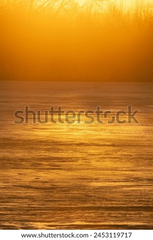 North-eastern European river after frosty winter. Ice began to melt, ice is saturated with meltwater. The morning sun colors the ice surface, a sunny path Royalty-Free Stock Photo #2453119717
