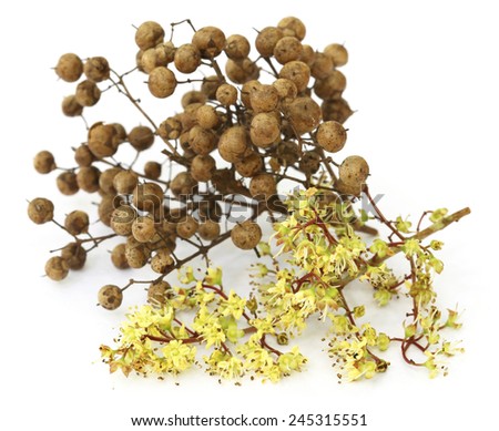 Henna flowers and seeds over white background