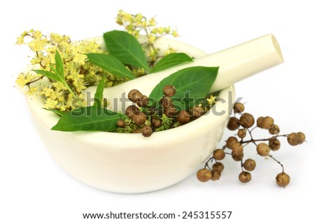 Henna leaves with flower and seeds in a mortar