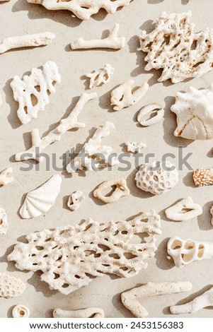 Trend pattern from closeup seashells, coral on sandy color background. Minimal photo at sunlight. Summer vacation concept, beach mood. Nautical design. Top view nature aesthetics vertical still life