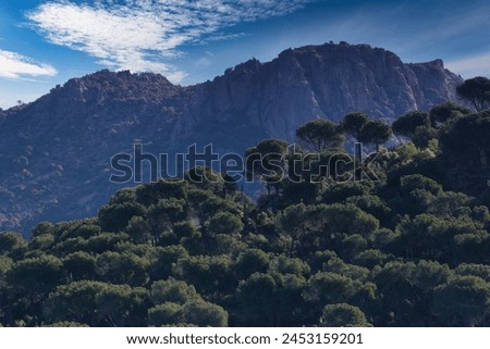 mountain landscape in spring on a sunny day in spain near madrid Royalty-Free Stock Photo #2453159201
