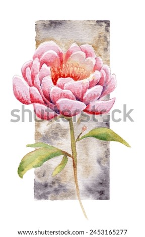 watercolor drawing of flowers - peony on a watercolor background. template for postcard, business card, invitation and your design