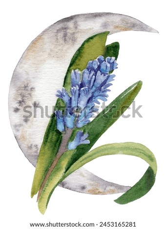 watercolor drawing of flowers - hyacinth on a crescent background. template for postcard, business card, invitation and your design