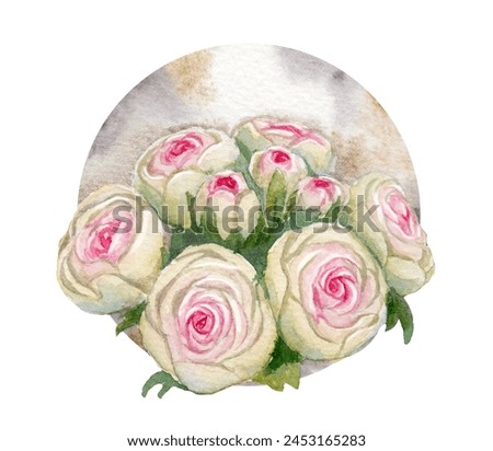 watercolor drawing of flowers - ranunculus on a watercolor background. template for postcard, business card, invitation and your design