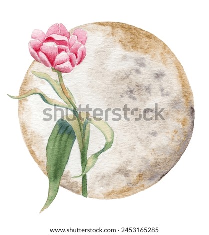 watercolor drawing of flowers - tulip on a watercolor background. template for postcard, business card, invitation and your design