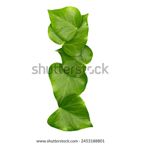 Green ivy leaves in shape alphabet letter I, isolated on white, clipping path