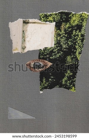 modern collage of a blue eye on a gray background with a part of the forest. Art object. High quality photo